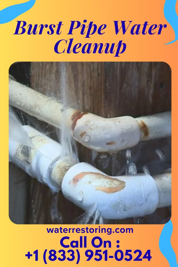 Burst Pipe Water Cleanup in Palco, KS