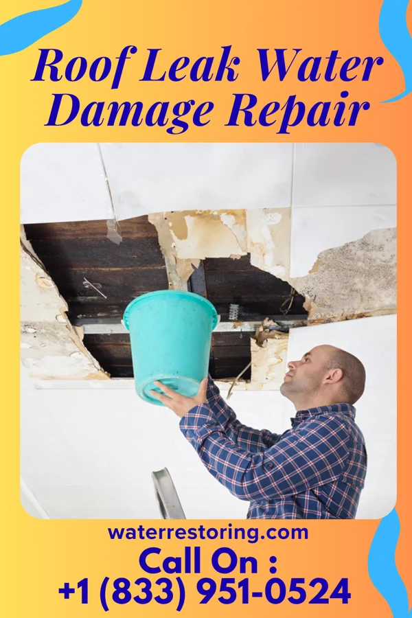 Roof Leak Water Damage Repair in Palco, KS